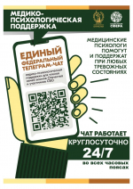 Участники СВО и члены их семей могут получить медико-психологическую помощь в специальном федеральном чате